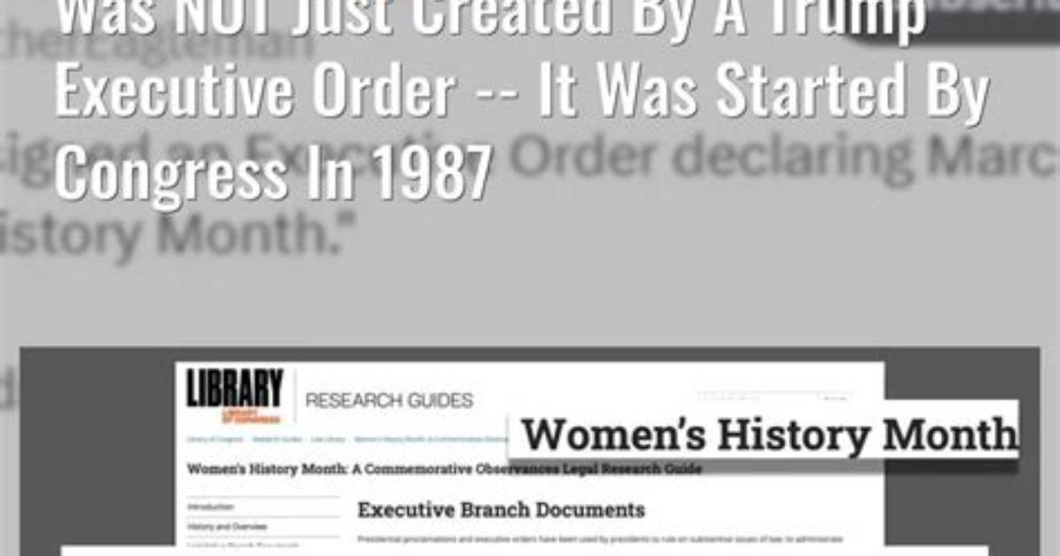 Fact Check What Actually Started The