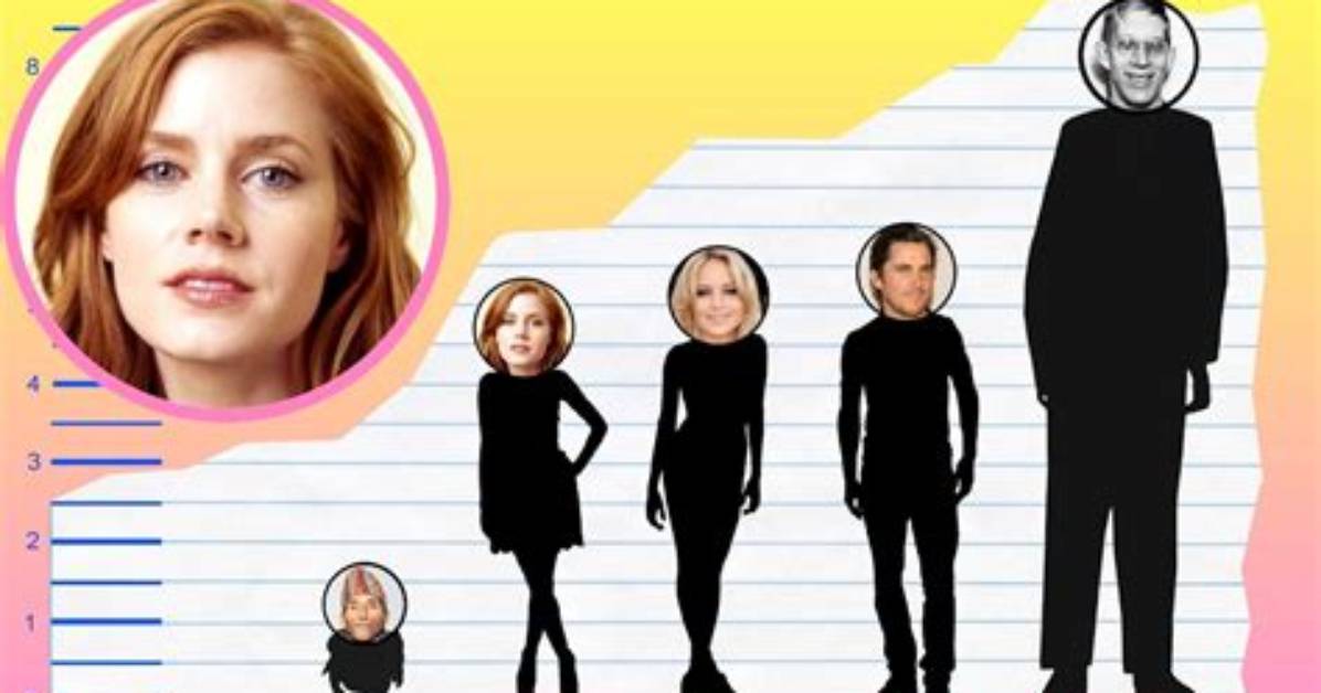 Fact Checking Amy Adams Height in Feet Official Records Vs