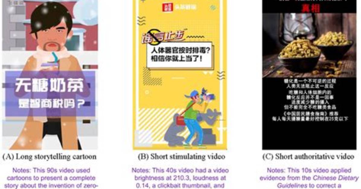 Fact Checking Cindy Zheng S Profession Debunking Rumors vs Her Real