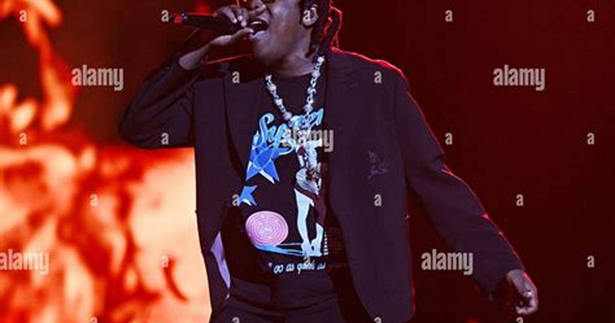 Fact Checking Don Toliver S Concert Gun Scare What Really Happened At