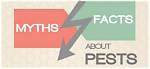 Fact-Checking Household Pest Myths: Do Spiders Like Hot or Cold Rooms?