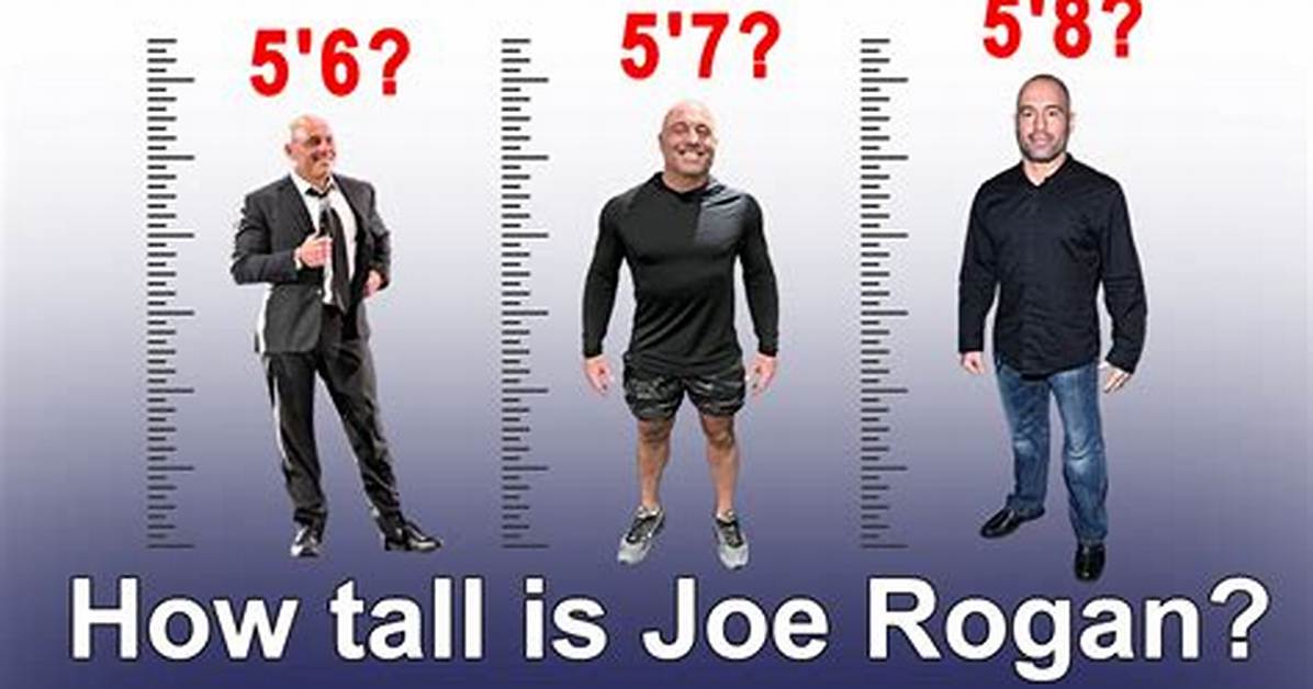 Fact Checking Joe Rogan S Height Official Records Stats And