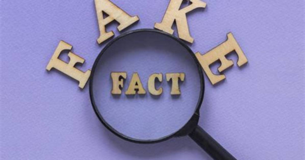 Fact Checking Melody Paget Unpacking the Trends Rumors And