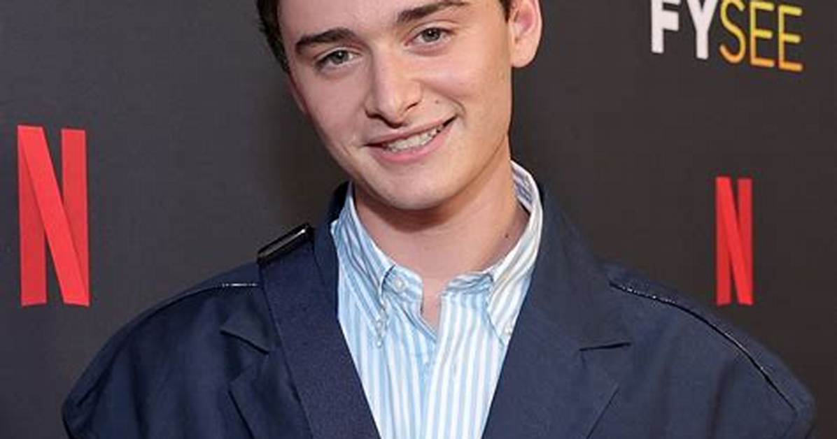 Fact Checking Noah Schnapp S Age Birthdate Season 5 Timeline and De