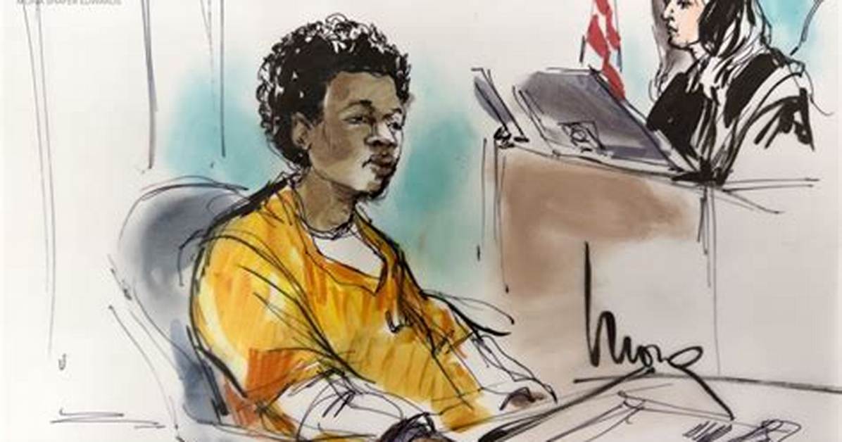 Fact Checking the Celeste Court Drawings Reality Vs