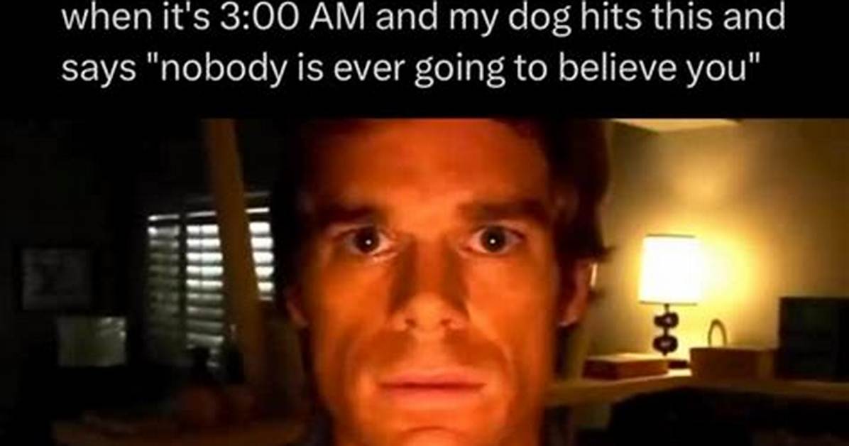 Fact Checking the Dancing Dog Meme Origins Original Audio And