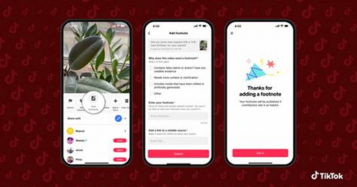 Fact Checking Tiktok Open Parsing the E Commerce Launch from The