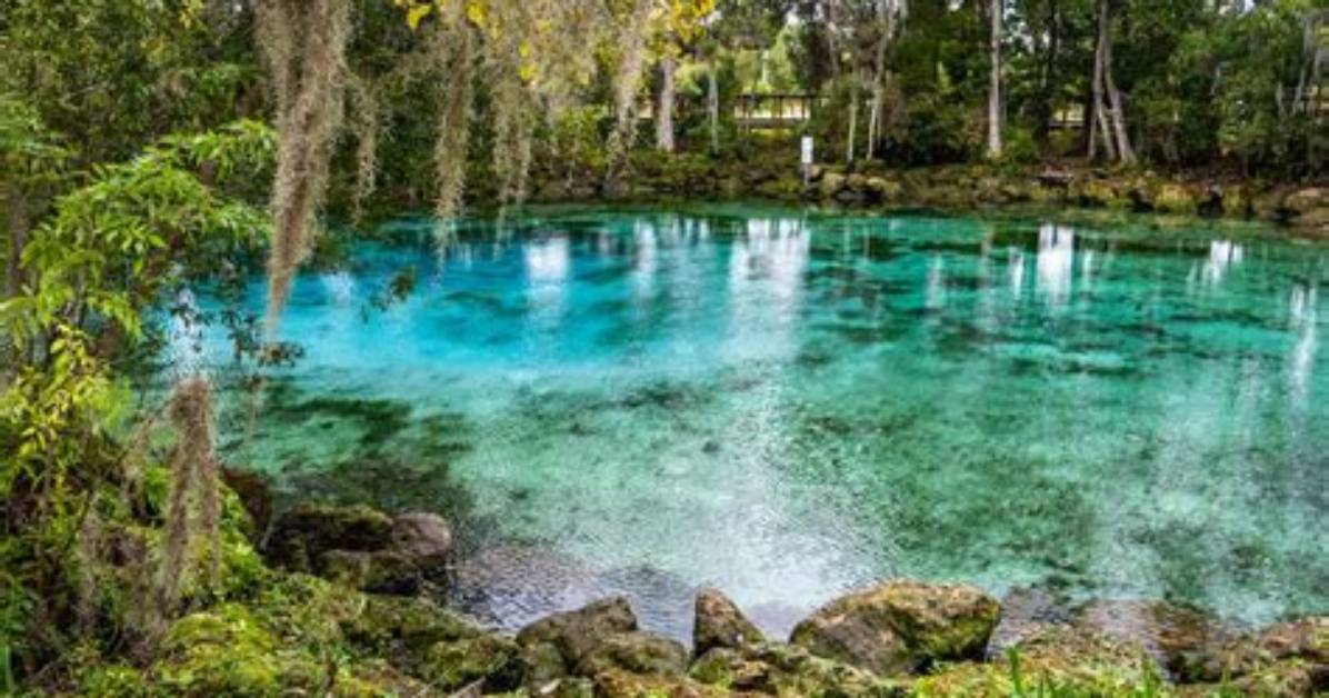 Florida S Secret Turquoise Haven Inside Madison Blue Springs Hidden
