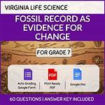Fossil or Fiction? Visual Evidence and Provenance Behind the Tasha T-Rex Mystery