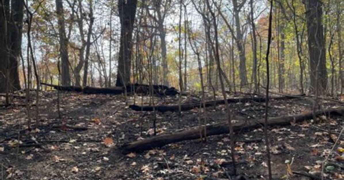 Foster Park Fire Damage and Trail Conditions Photos Fire Maps And