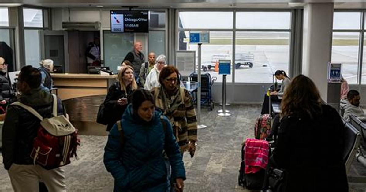 From Airport Struggles to Media Stardom the Rise of the Uk S Most Talked