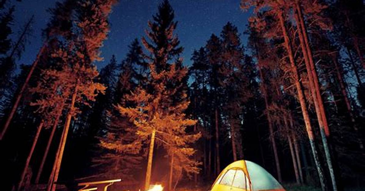 From Campsites to the Great Outdoors Real World Evidence Proving How Adventure Forges