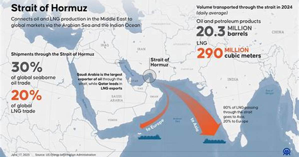 From Cross Strait Trade Disputes to 2026 Export Booms the Custard