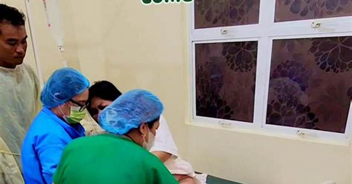 From Delivery Room to Discharge a 2 Lb Newborn S Day by Day
