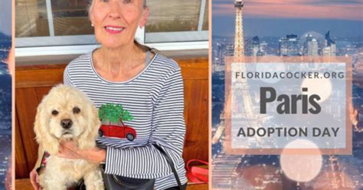 From Florida Politics to Paris Inside Sophie Rain S Unstoppable