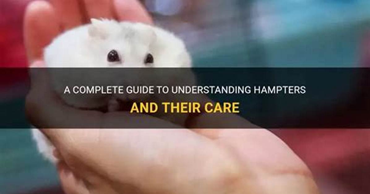 From Hampter to Cheesing the Complete Cultural History of Internet