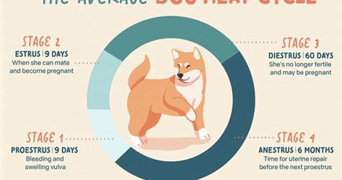 From Heat Cycle to Whelping Navigating a 9 Puppy
