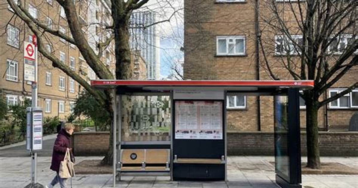 From London Bus Stop to World Stage the Emiliano and Mandinha