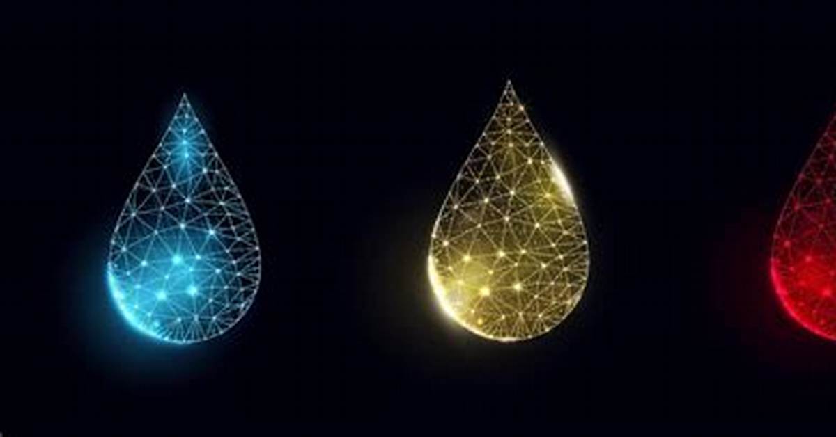 From Low Poly Graphics to Frame Drops Visual Proof of What Kaku