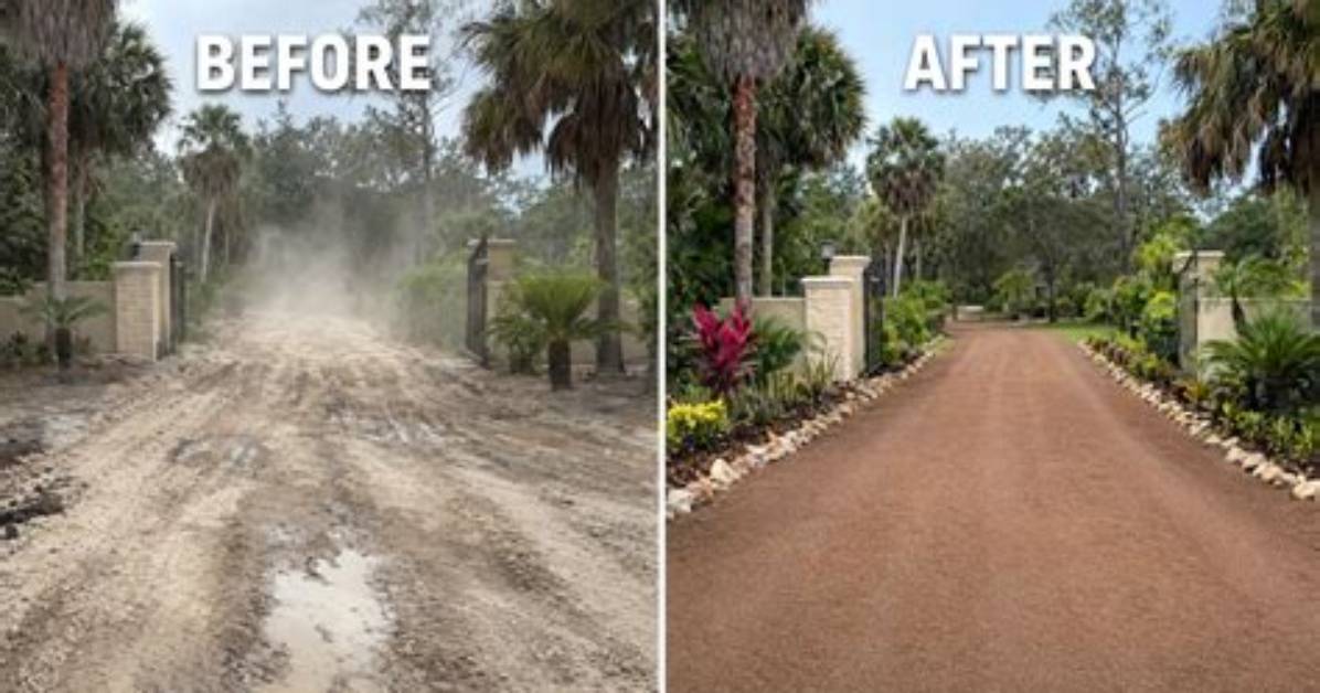 From Pavement to Forest How Rutgers Transformed Livingston