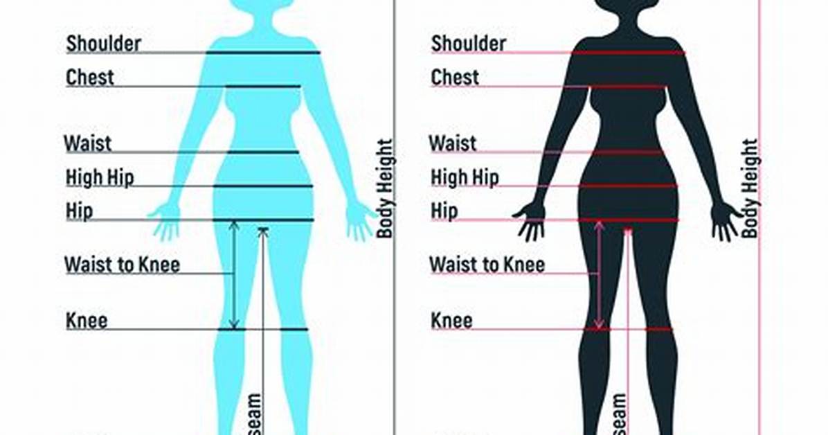 Griffith Height Measurements Guide