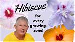 Hibiscus vs Hollyhock: How Botanical Illustrators Tell These Similar Blooms Apart
