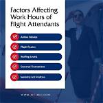 How Many Hours a Week Do Flight Attendants Work? Complete Beginner's Guide