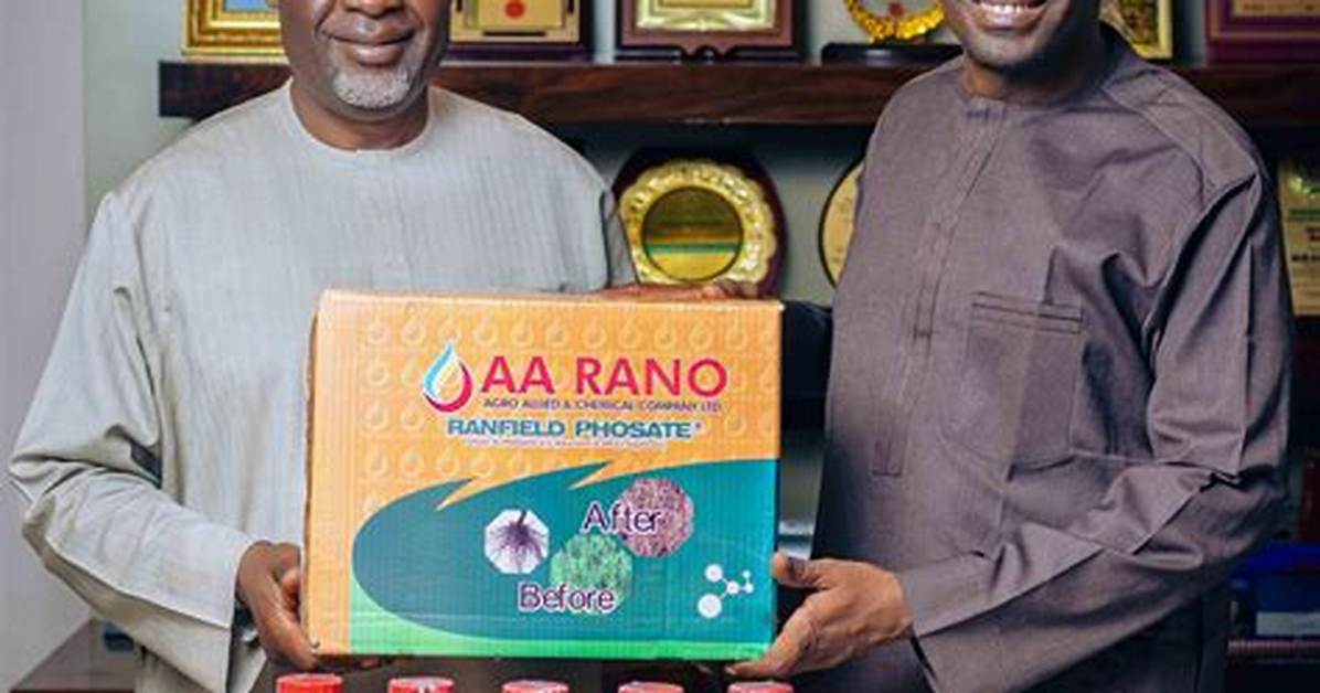 How Old Is Aa Rano the Truth Behind the Kano Oil Mogul S Rise and Exact