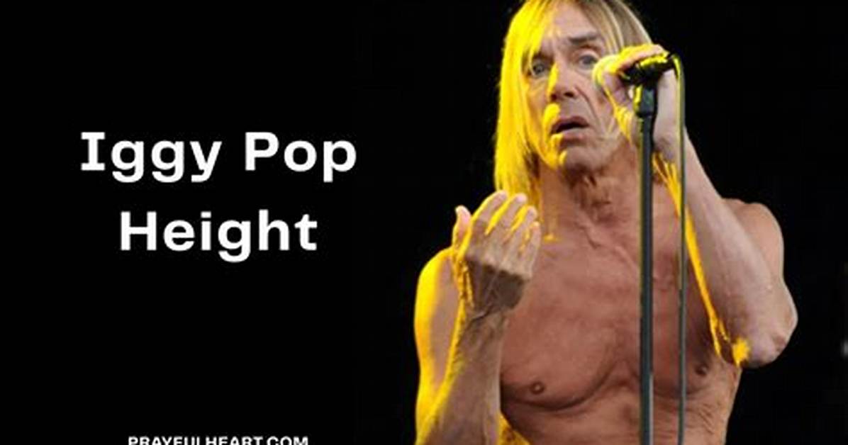 How Tall Is Iggy Pop Really the Surprising Truth Behind the Godfather of Punk S