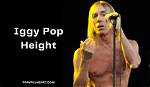 How Tall Is Iggy Pop Really? the Surprising Truth Behind the Godfather of Punk's Real Height