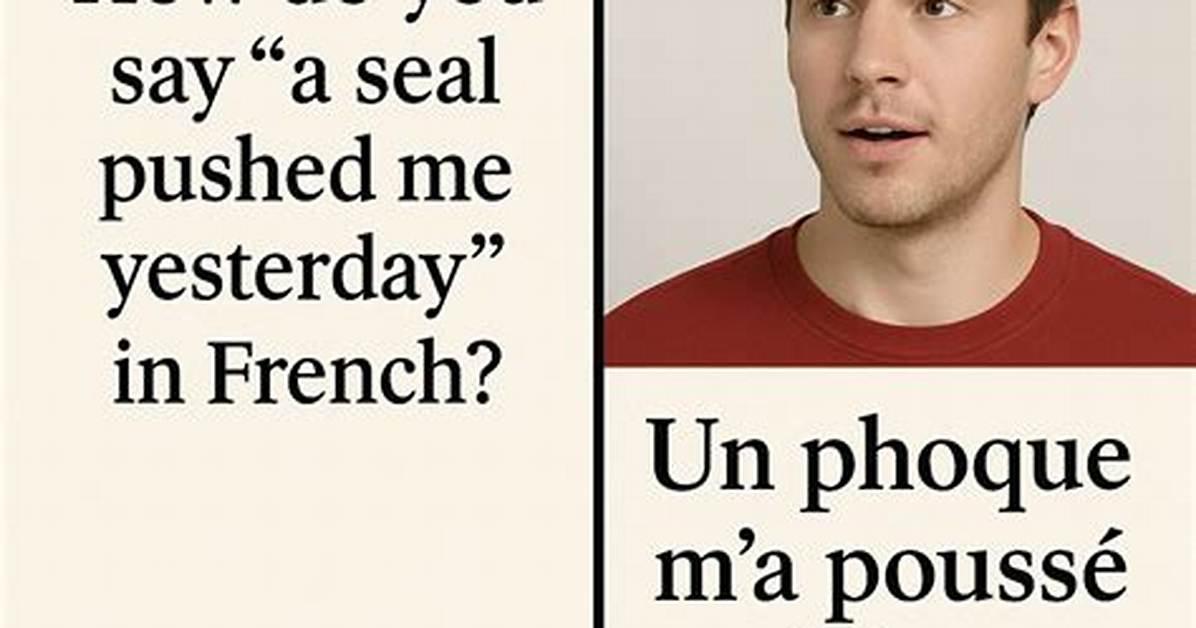 How to Say a Seal Pushed Me Yesterday in French Full Translation Pronunciation And