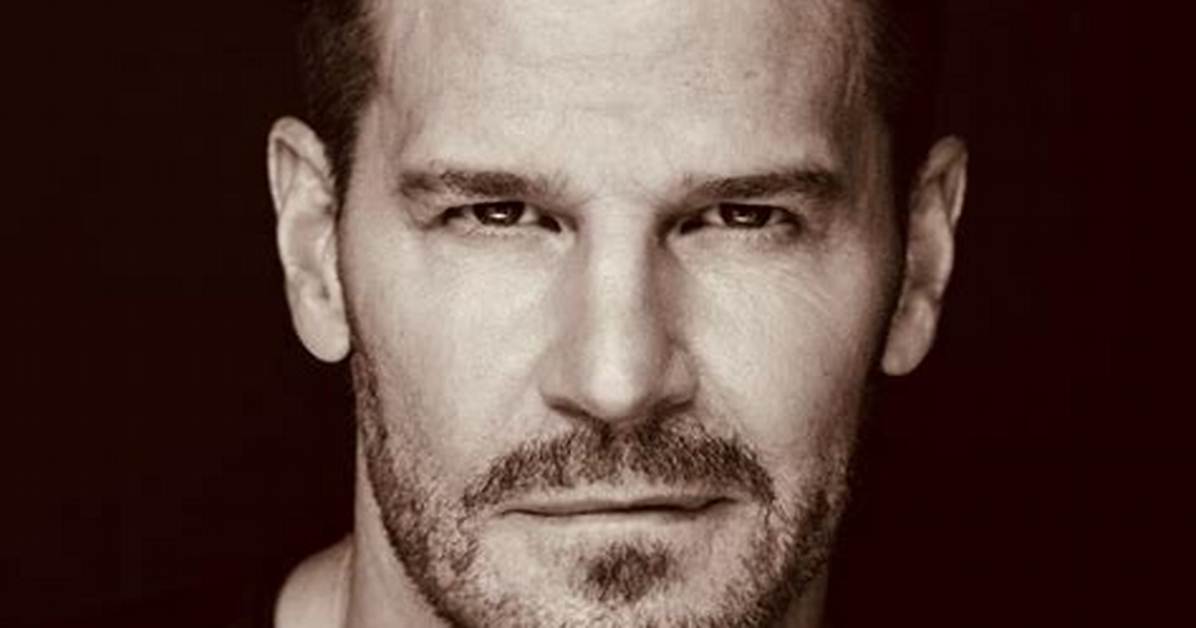 Inside David Boreanaz S Real Military Training and Uso