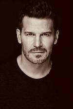 Inside David Boreanaz’s Real Military Training and Uso Service Missions