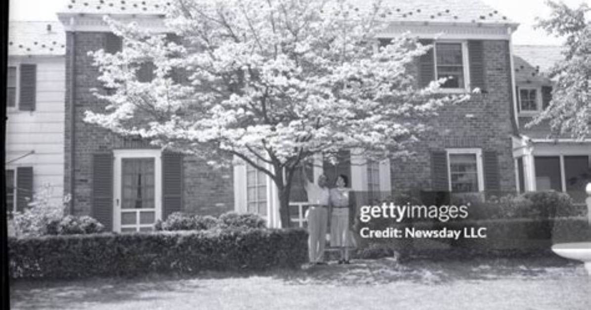 Inside Frank Costello S Home Rare Photos of Domestic Life With