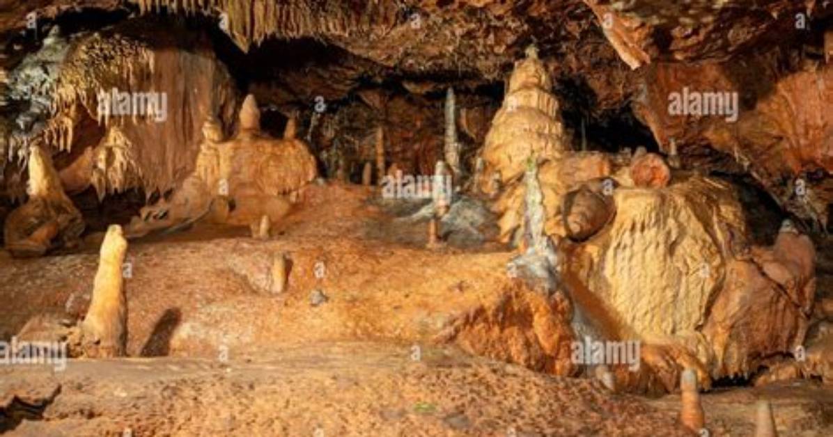 Inside the Prehistoric