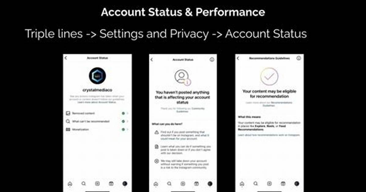 Instagram Account Status Guide