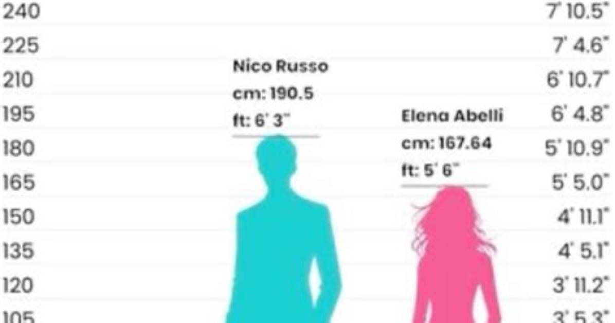 Is 5 6 Exactly 167 or 168 Cm the Math Behind Rounding