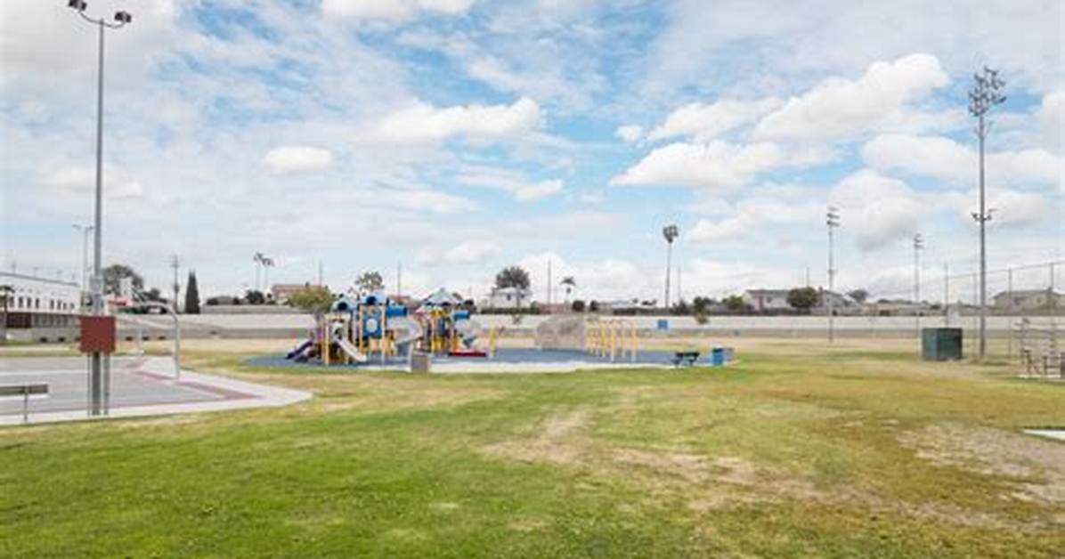Is Del Amo Park Safe for Families Coyote Precautions and Youth Sports