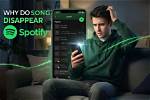 Is Demus Breaking Spotify Terms? Why Your Playlists Won't Import and How to Fix It