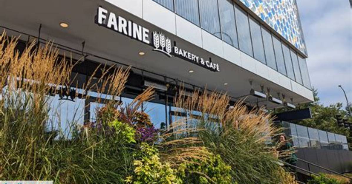 Is Farine Bakery Cafe Bellevue Worth the Hype a Deep Dive into The