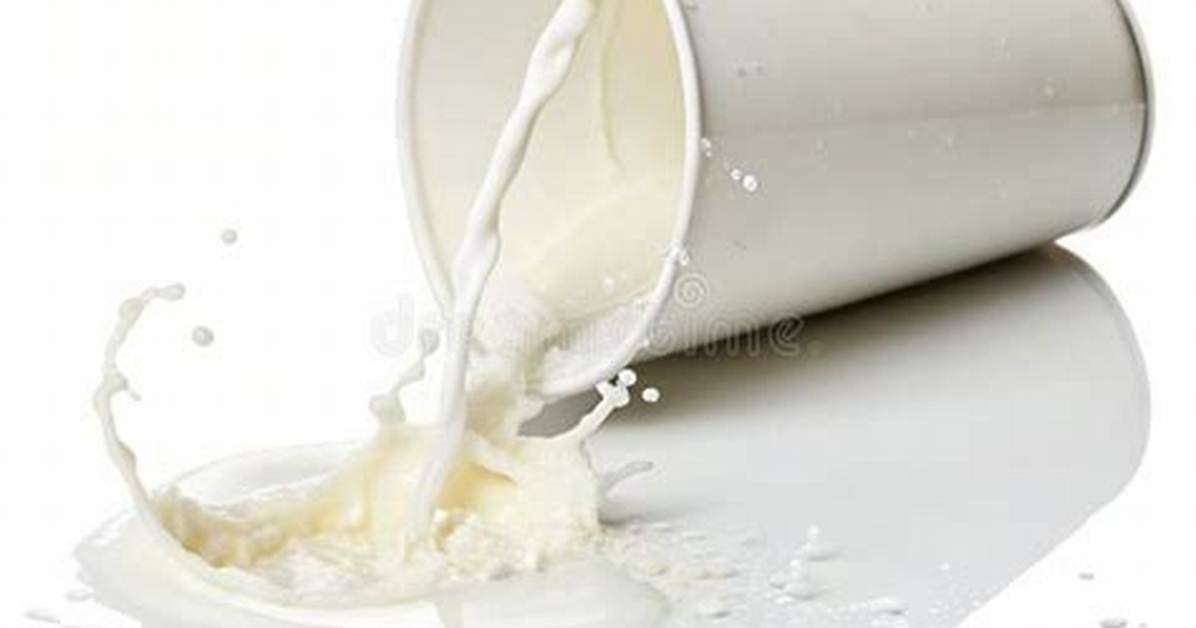 Is Kor Leaving Spilling the Milk the Truth Behind the Viral