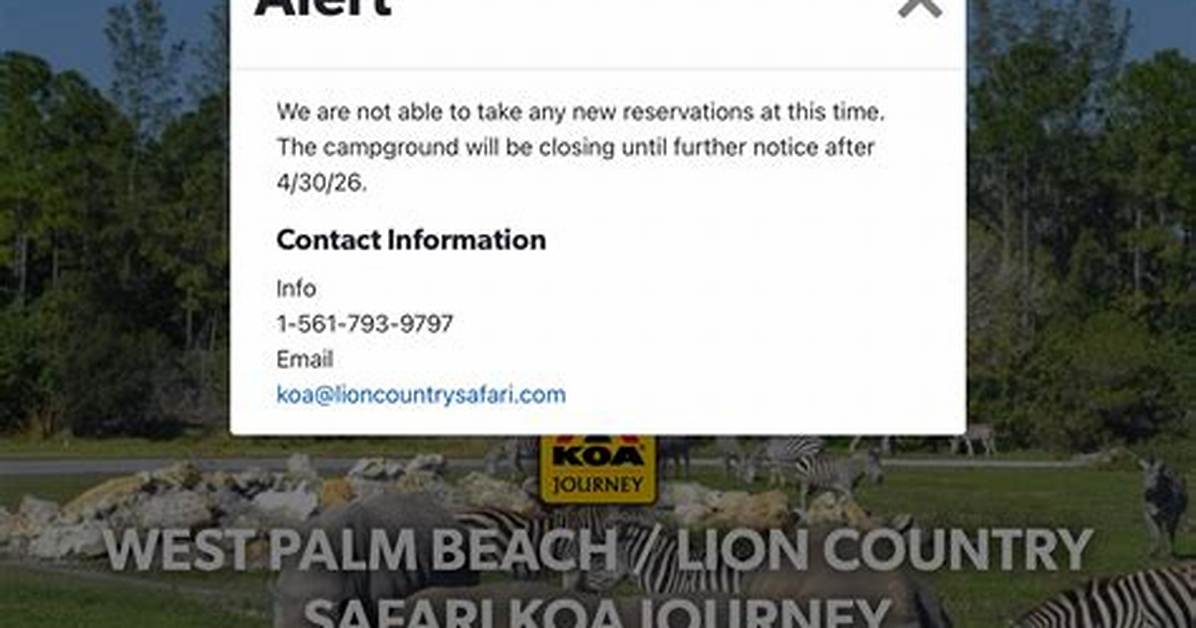 Is Lion Country Safari Camping Really Closing the Oracle Billionaire Sale