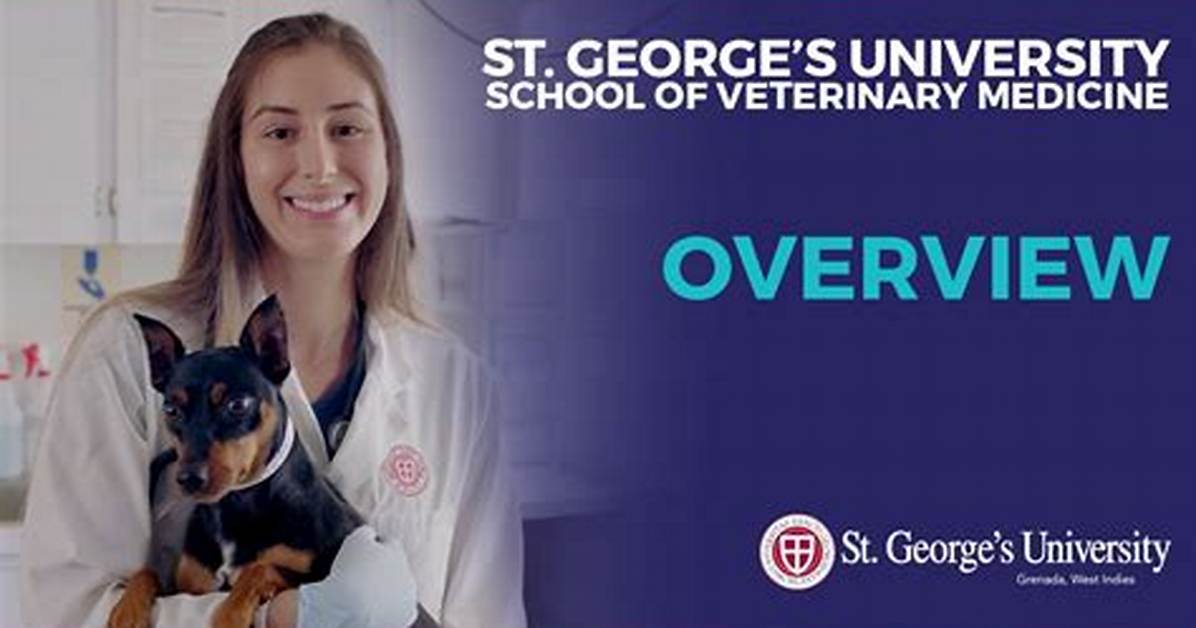 Is St George Vet School the Answer to America S Dire Rural