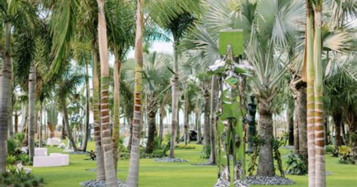 Is the Lake Nona Sculpture Garden Truly Free Hours Parking And
