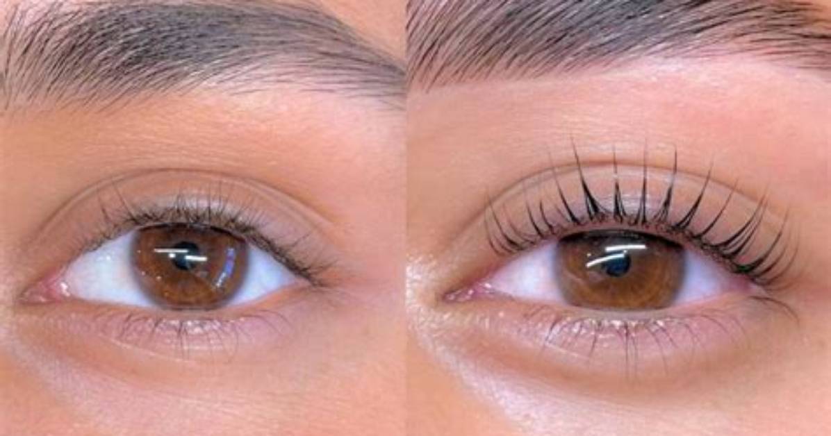 Korean Lash Lift Before and After the Visual Proof Behind the 2026
