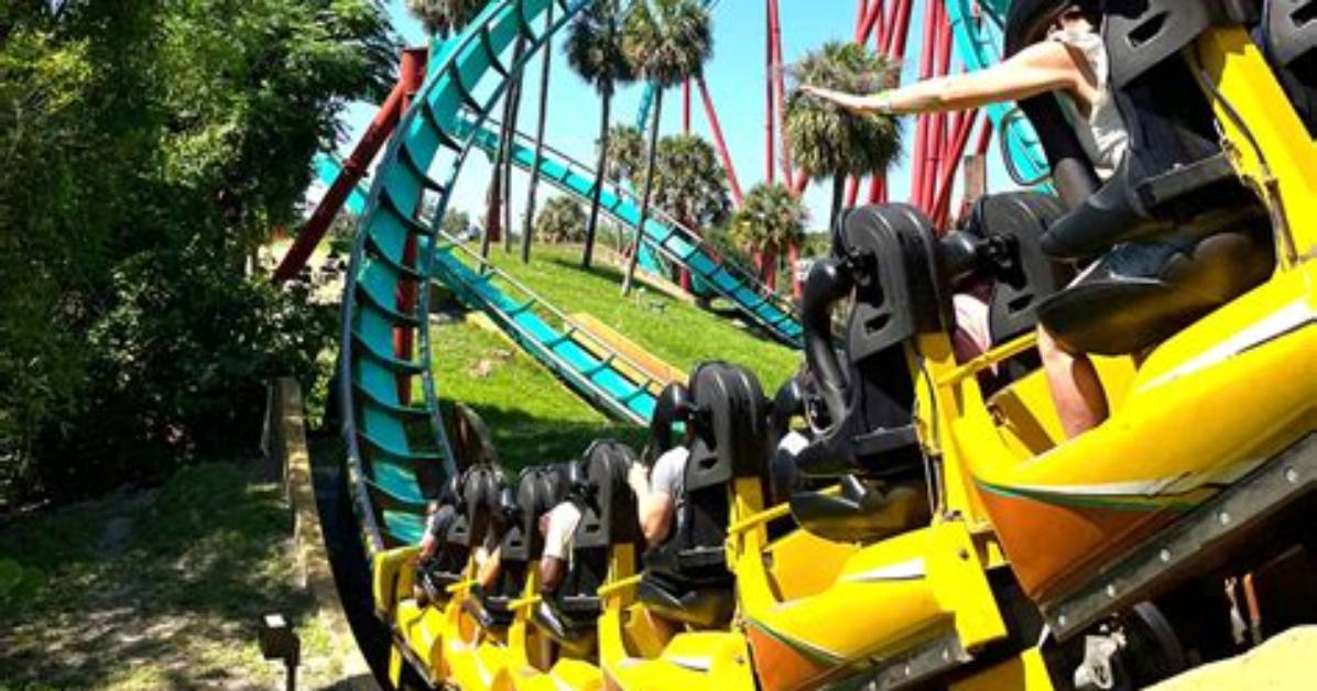 Kumba Retiring After 33 Year S Inside Busch Gardens