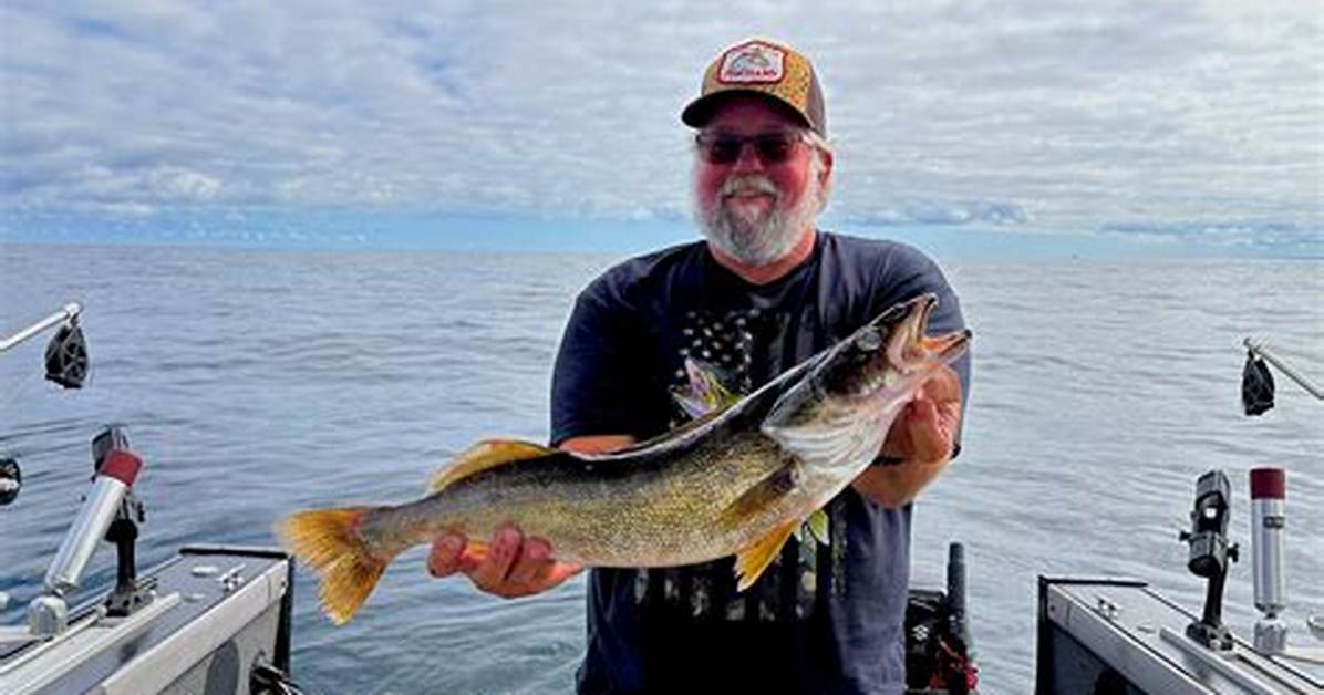 Lake Erie Walleye Frenzy Why Shine S Bait and Tackle Is Selling Out