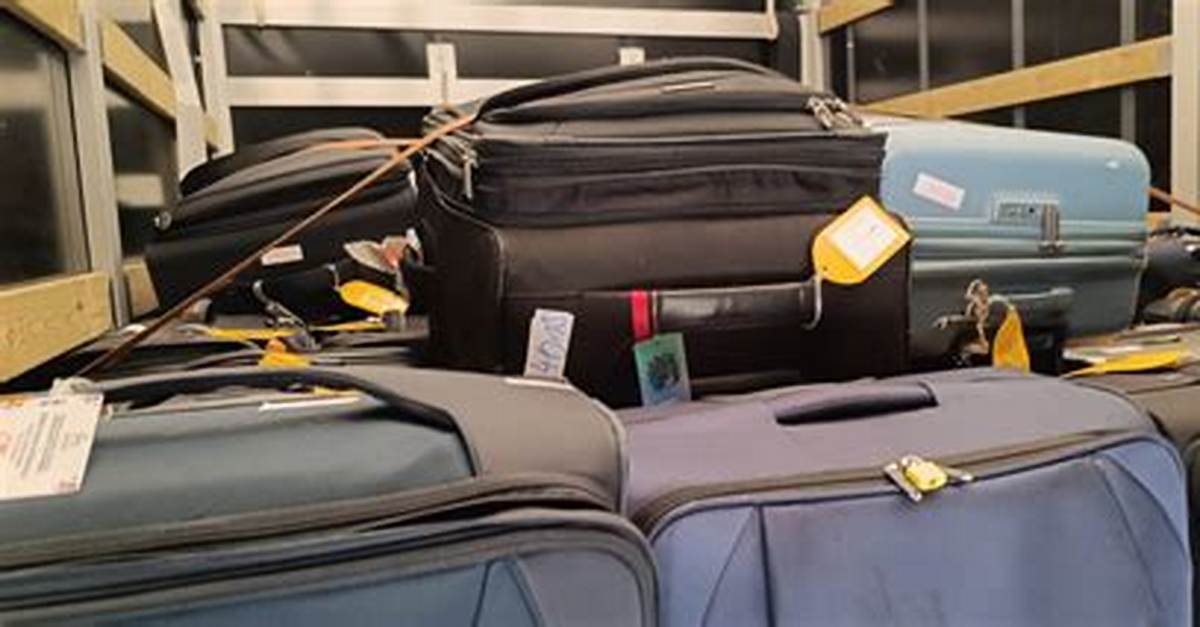 Luggage Sent Flying Inside the Wild Portmiami Brawl That Got 16 Carnival Passengers Banned For