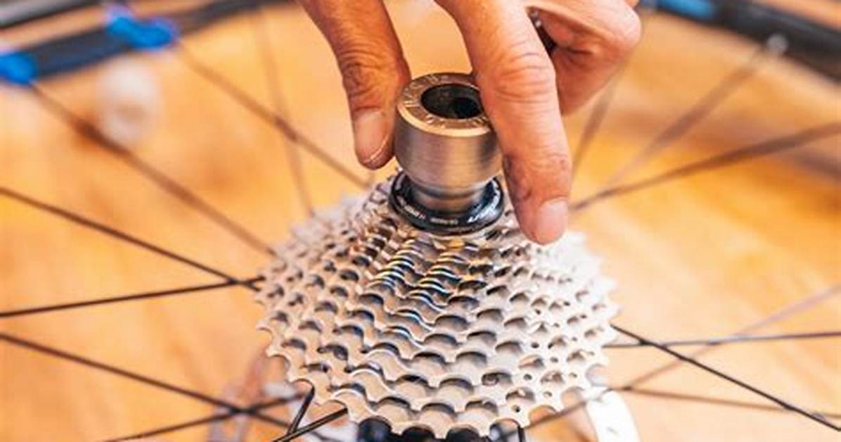 Mafia Bike Cassette Teardown Visual Guide to Removing