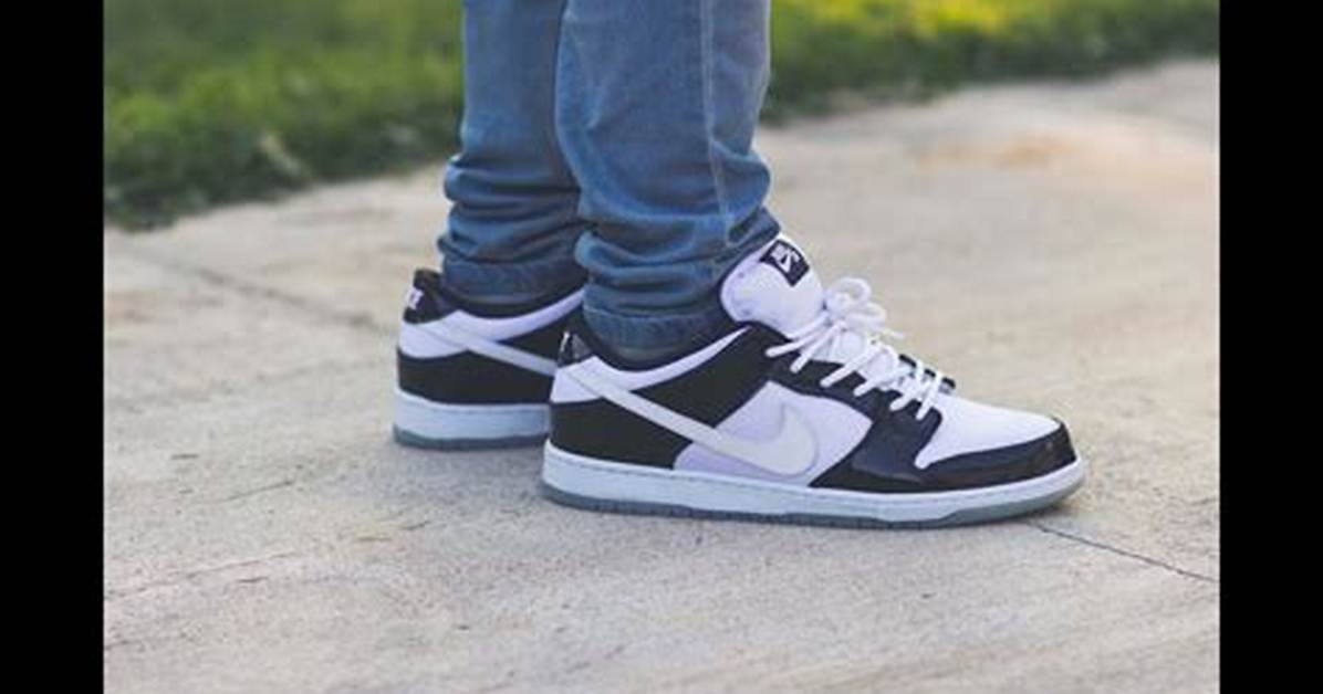 Nike Sb Concord on Feet Why Sneakerheads Are Paying Top